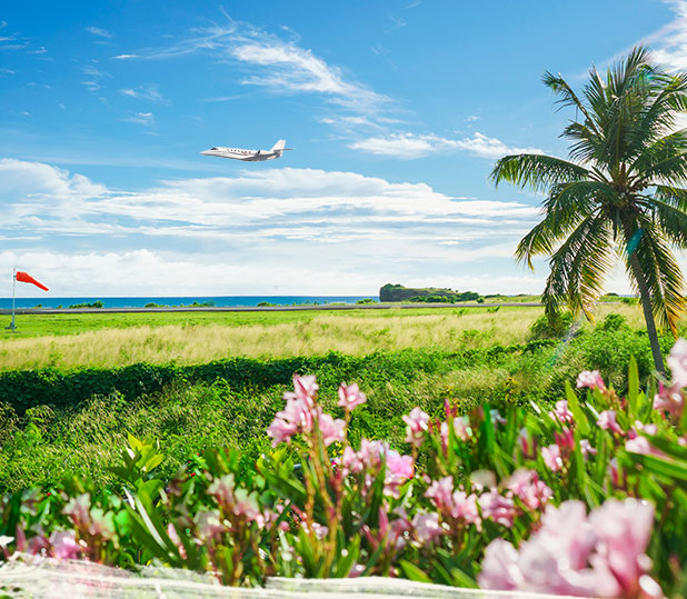 grenada tourism info