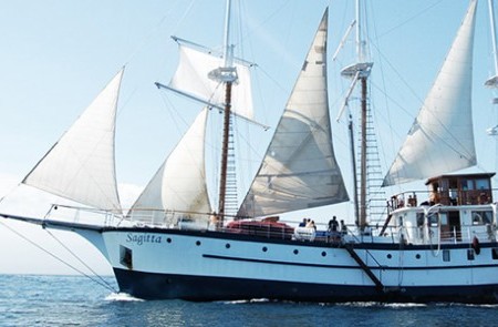 Island Windjammers Cruises - Caribbean and Mediterranean Sailing