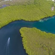 AERIAL_Oyster-bed-Carriacou-2_low-res