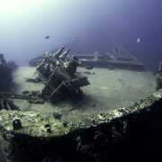 Dive-Grenada-6