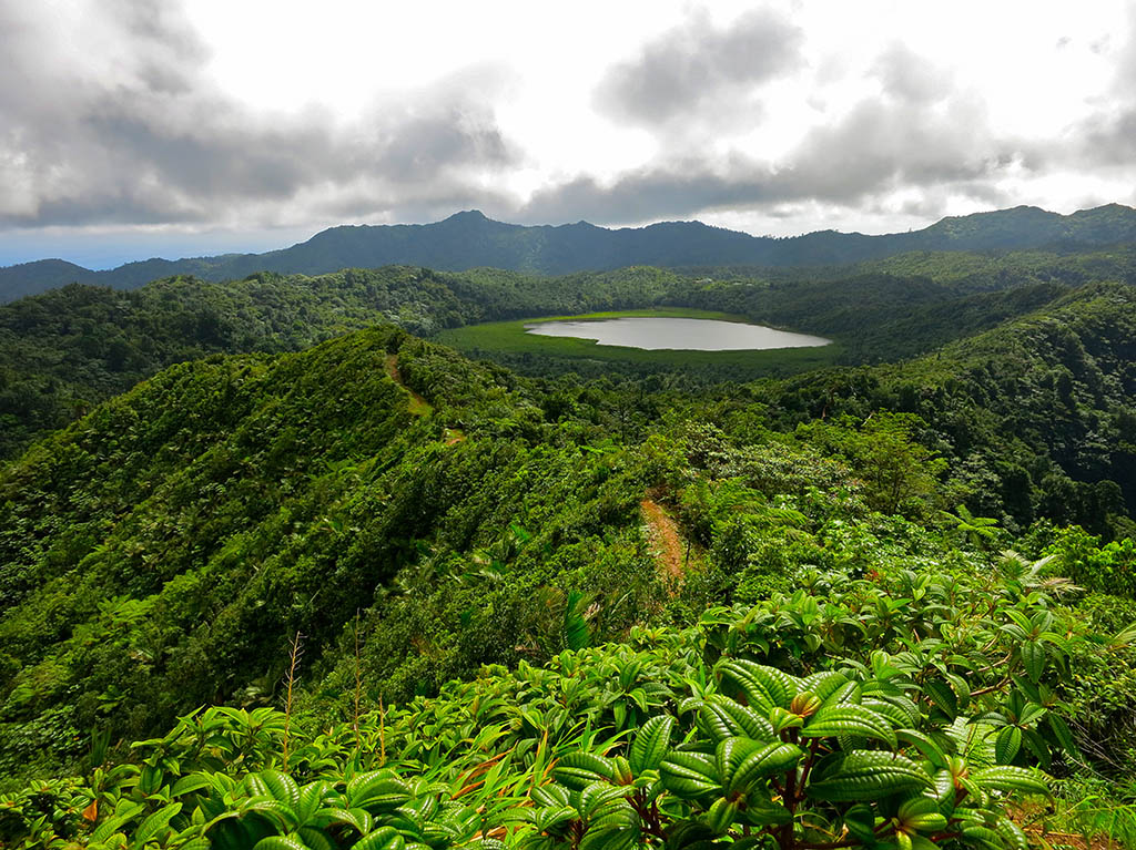 grenada tour operators