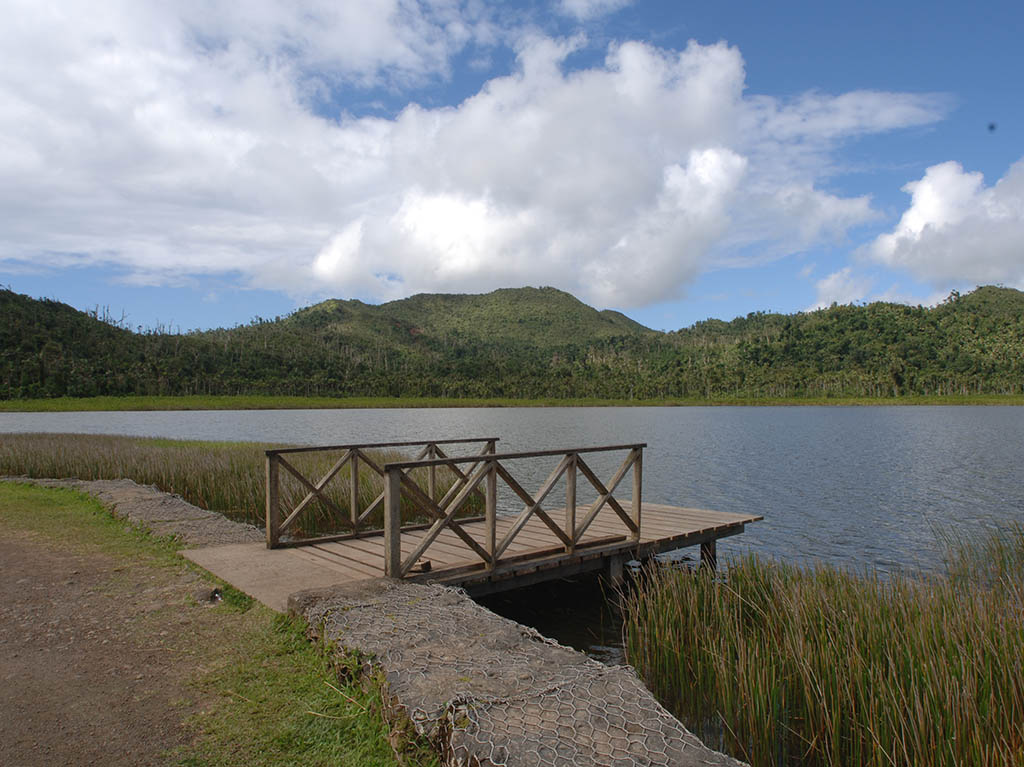 Grand Etang National Park & Forest Reserve - Grenada Tourism Authority