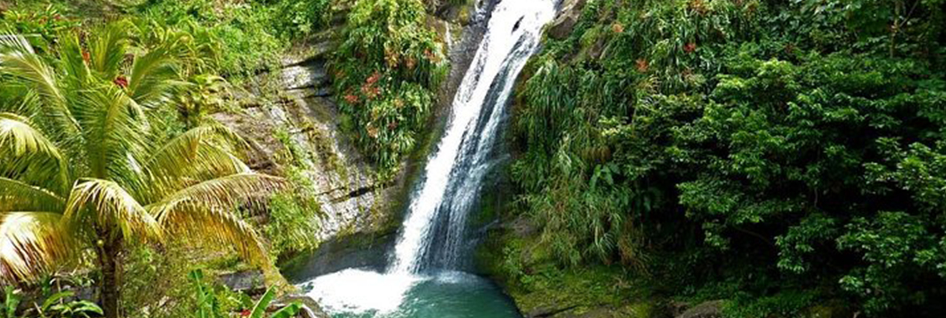 grenada boat tours