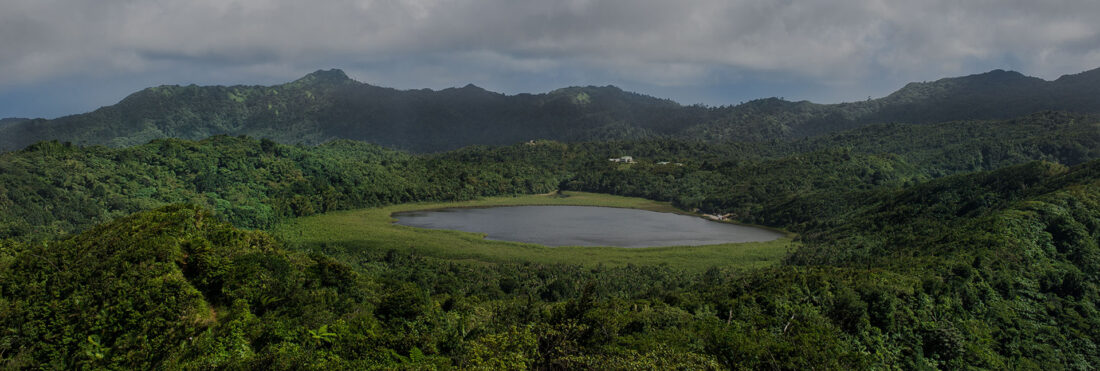 dave tours grenada