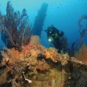 dive-grenada-bianca-c