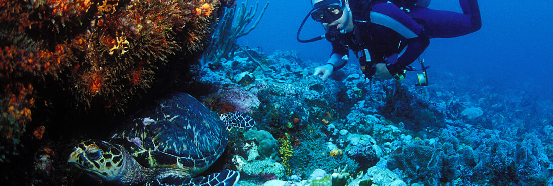 scubatech