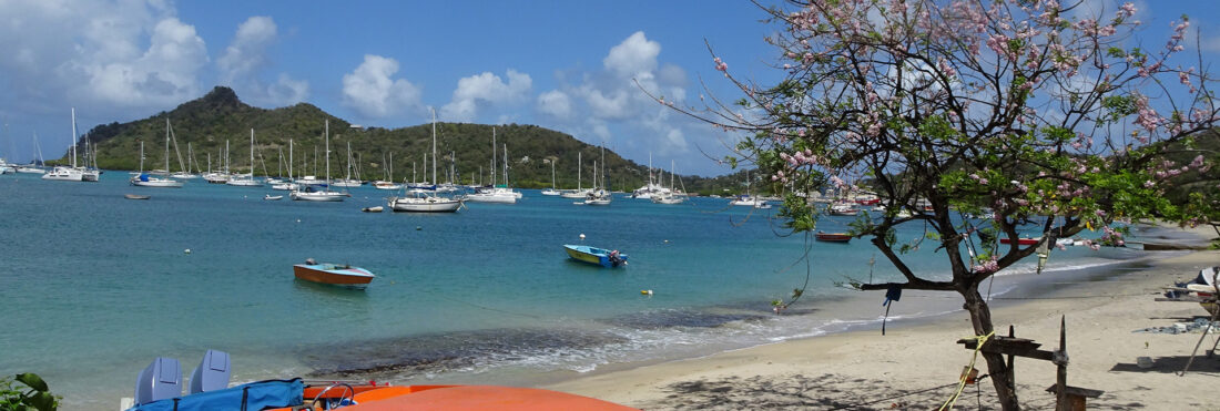 tyrrel bay beach