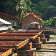 Crayfish Bay Organic Estate